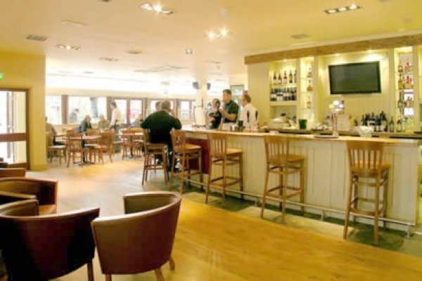 Burgerii, cafenelele şi sălile de fitness sunt printre cele mai atrăgătoare businessuri pentru micii investitori